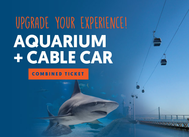 Discover Lisbon from Above: Lisbon Aquarium & Cable Car Combo!