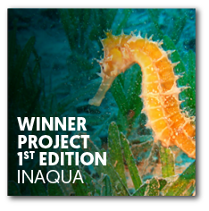 Winner project 1st edition | InAqua: Oceanário de Lisboa