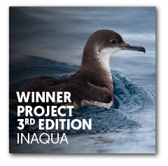 Winner project 3rd edition | InAqua: Oceanário de Lisboa