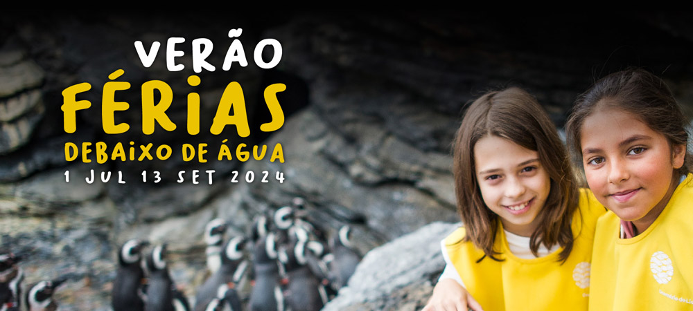 Melhor Campo de Férias de Verão para Crianças em Lisboa!