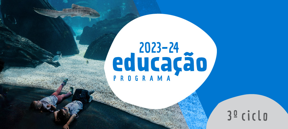 Atividades para escolas no Oceanário de Lisboa. Conheça o programa educativo do 3.º ciclo.