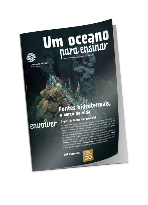 O que são fontes hidrotermais? Revista para professores junho 2024